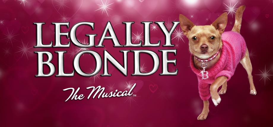 Legally Blonde Auditions Cancelled